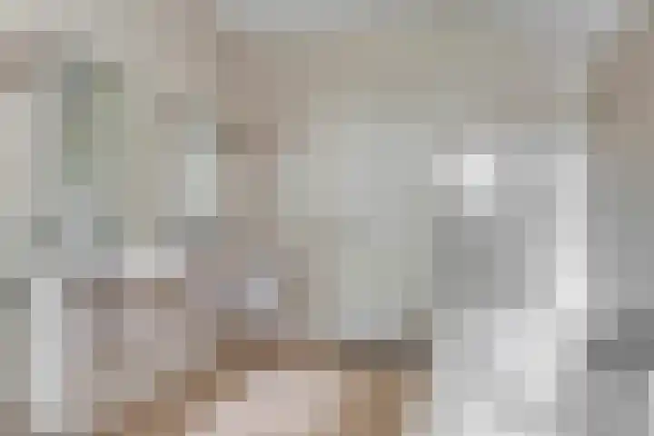 Beumeesweg 2 Alteveer thumbnail 26