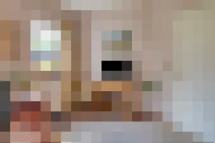 Beumeesweg 2 Alteveer thumbnail 28