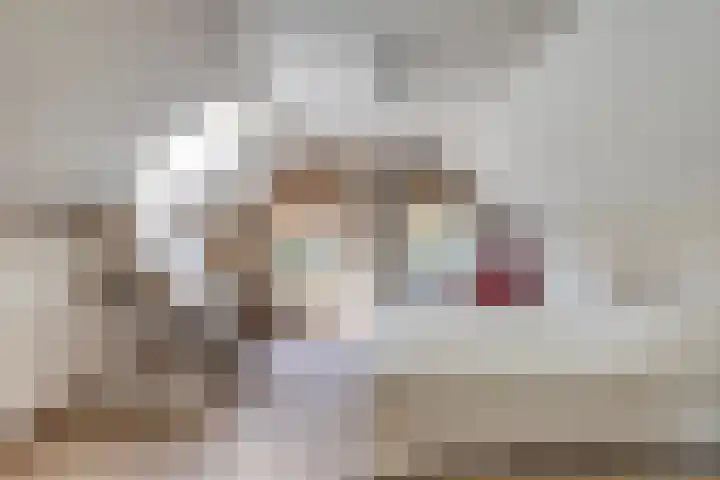 Beumeesweg 2 Alteveer thumbnail 31
