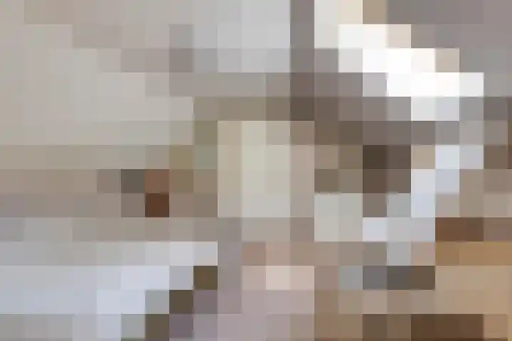Beumeesweg 2 Alteveer thumbnail 32