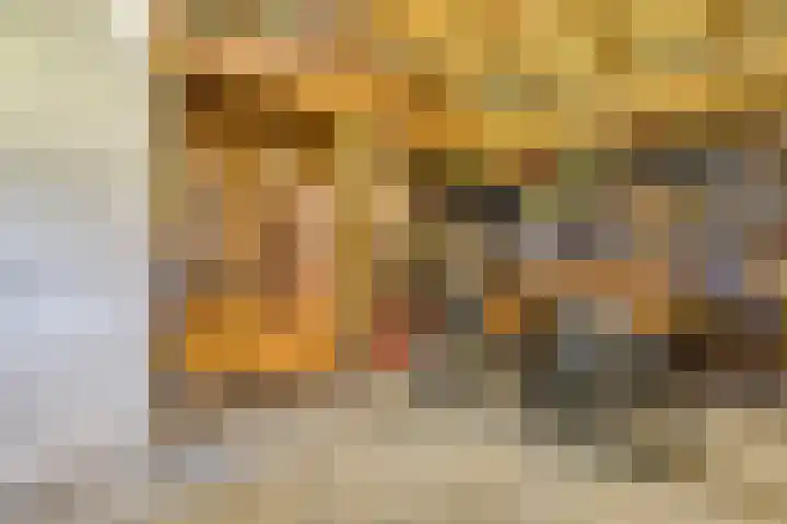 Beumeesweg 2 Alteveer thumbnail 33