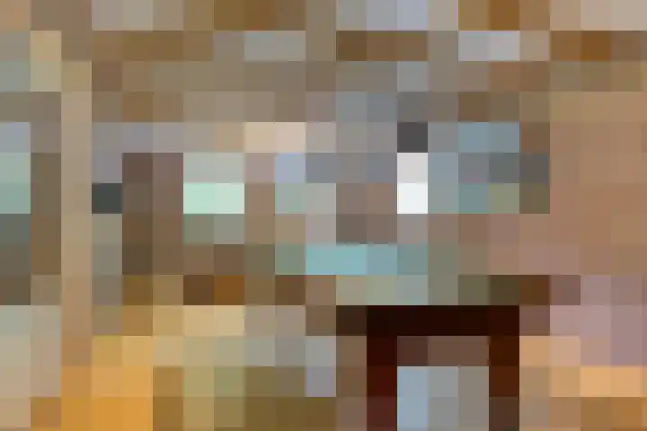 Beumeesweg 2 Alteveer thumbnail 34