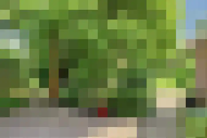 Beumeesweg 2 Alteveer thumbnail 35