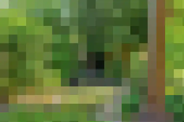 Beumeesweg 2 Alteveer thumbnail 36
