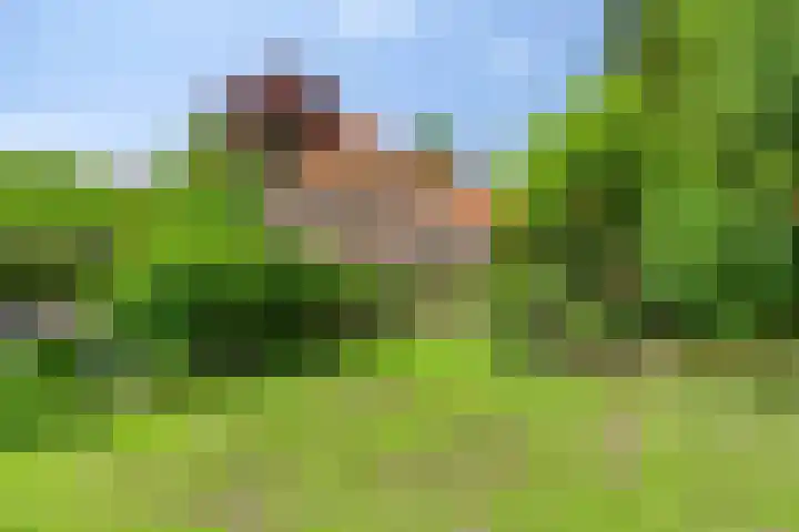 Beumeesweg 2 Alteveer thumbnail 38