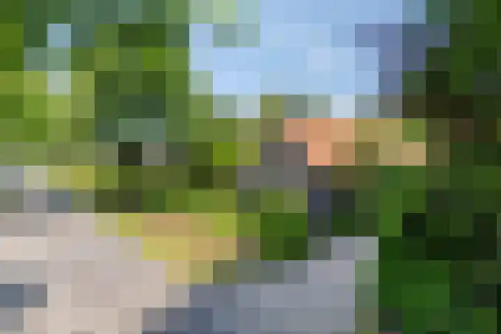 Beumeesweg 2 Alteveer thumbnail 4