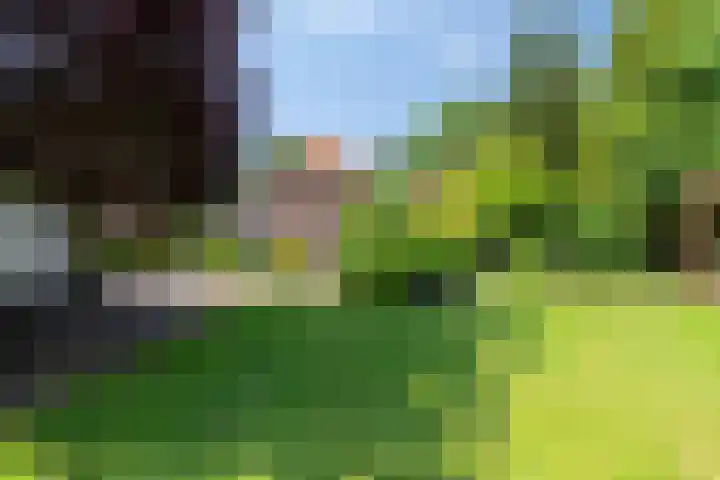 Beumeesweg 2 Alteveer thumbnail 40