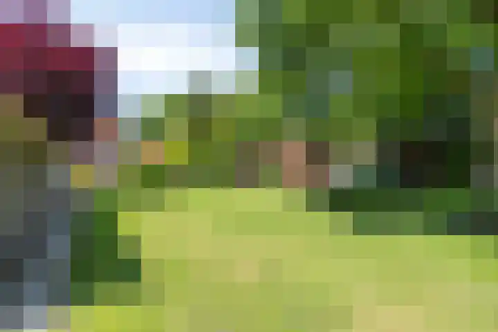Beumeesweg 2 Alteveer thumbnail 41