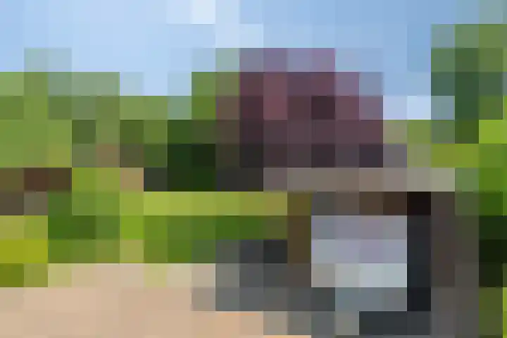 Beumeesweg 2 Alteveer thumbnail 42