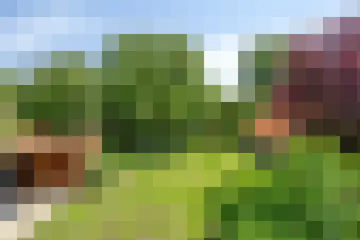 Beumeesweg 2 Alteveer thumbnail 43