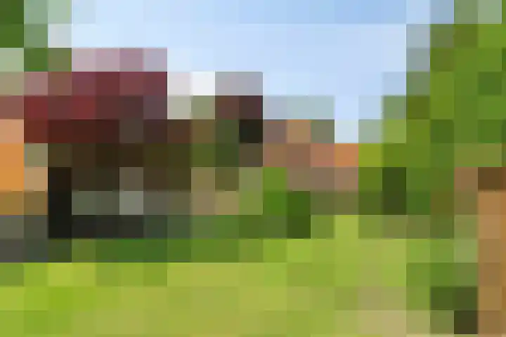 Beumeesweg 2 Alteveer thumbnail 44
