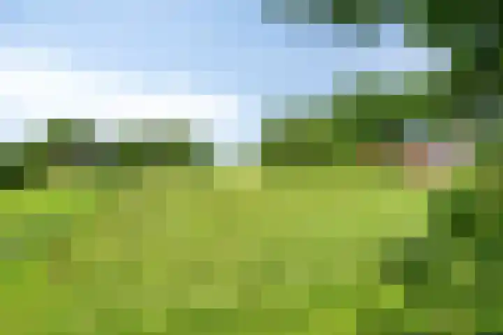 Beumeesweg 2 Alteveer thumbnail 45