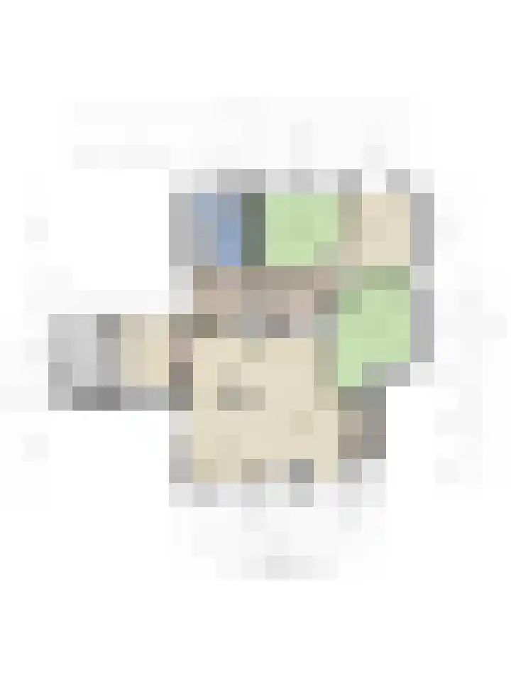 Beumeesweg 2 Alteveer thumbnail 46