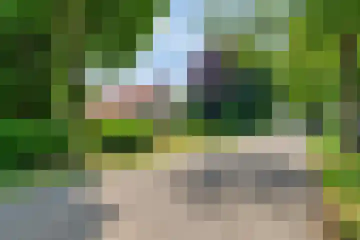Beumeesweg 2 Alteveer thumbnail 5