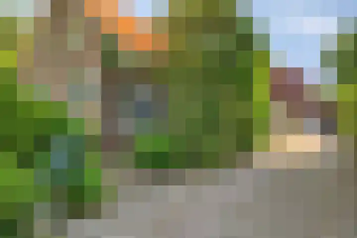 Beumeesweg 2 Alteveer thumbnail 6