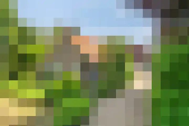 Beumeesweg 2 Alteveer thumbnail 7
