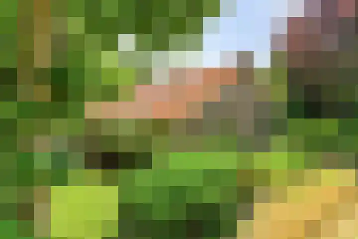 Beumeesweg 2 Alteveer thumbnail 8
