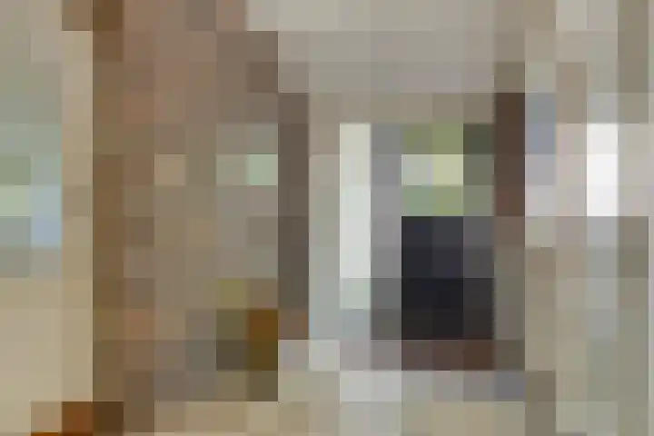 Beumeesweg 2 Alteveer thumbnail 9