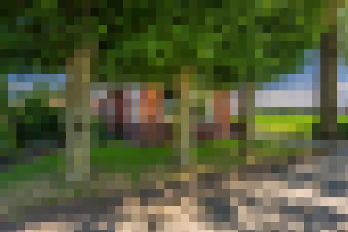 Beumeesweg 22 Alteveer thumbnail 10