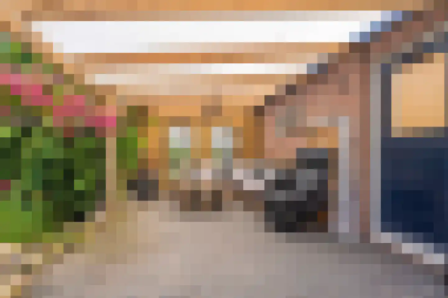Beumeesweg 22 Alteveer thumbnail 16