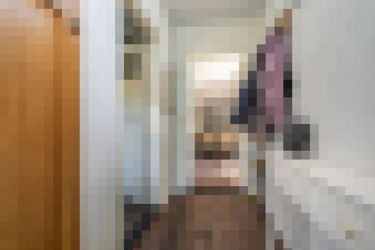 Beumeesweg 22 Alteveer thumbnail 25