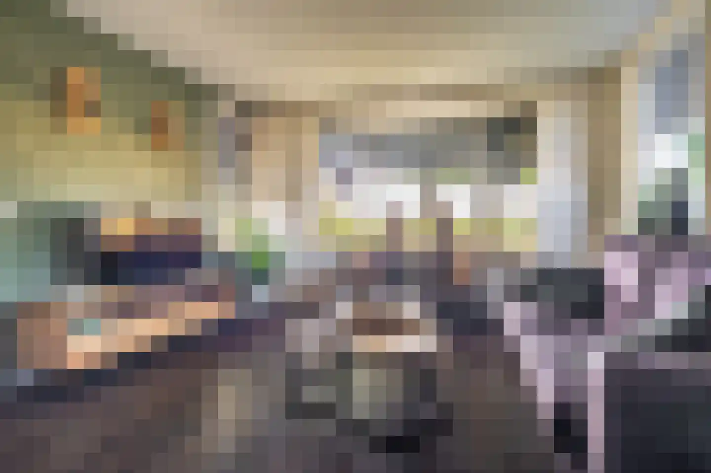 Beumeesweg 22 Alteveer thumbnail 26