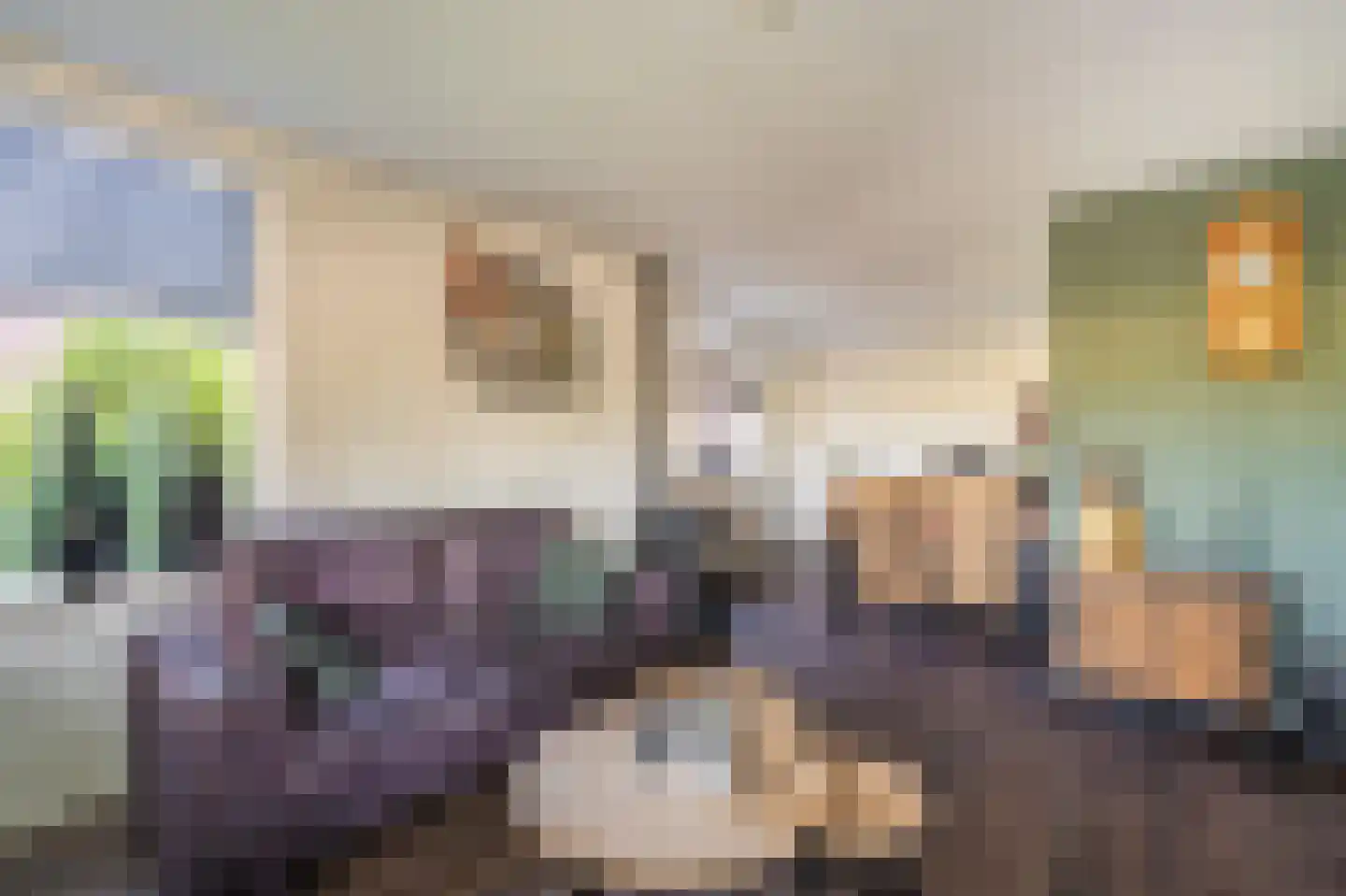 Beumeesweg 22 Alteveer thumbnail 27