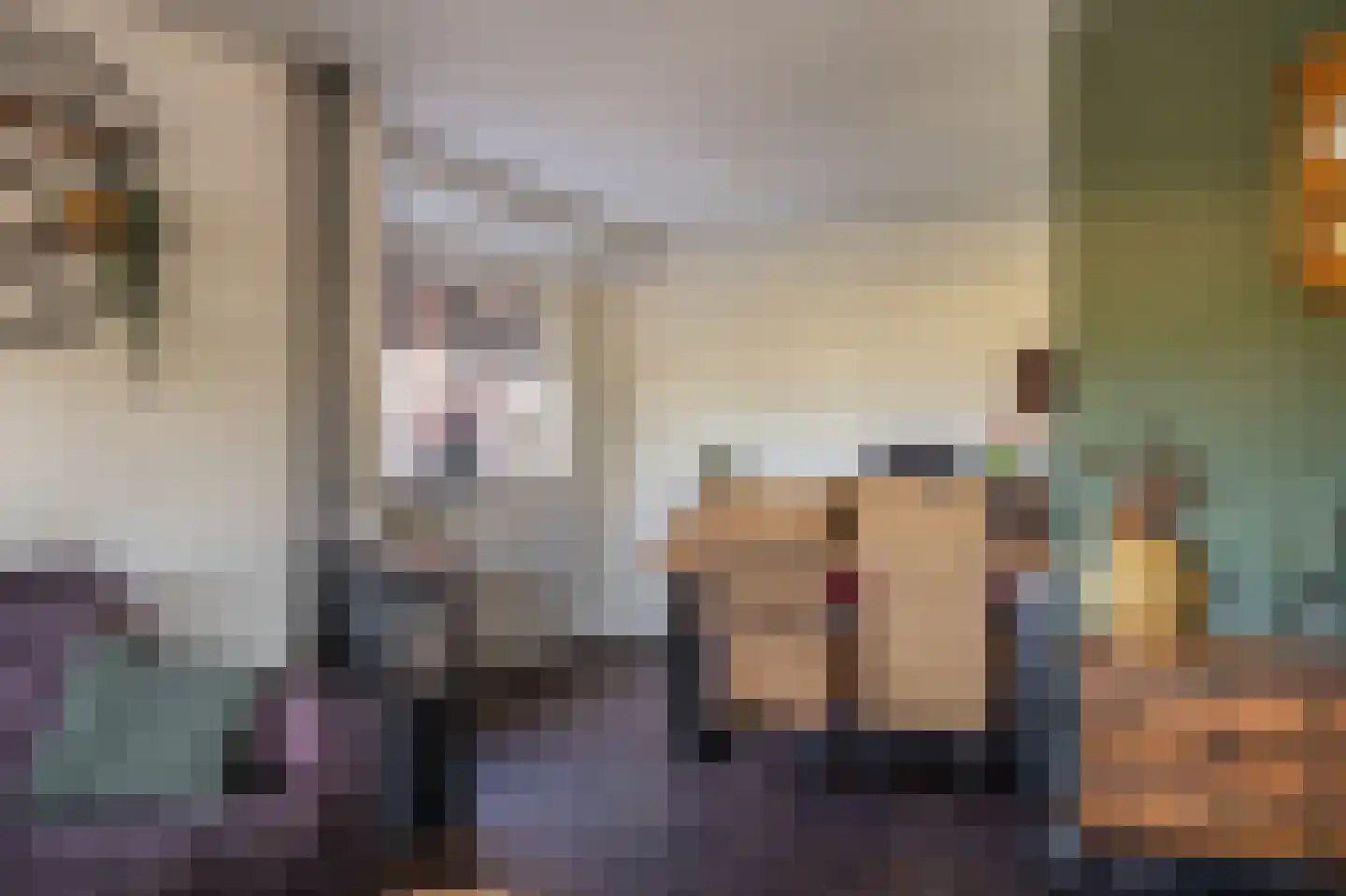 Beumeesweg 22 Alteveer thumbnail 28