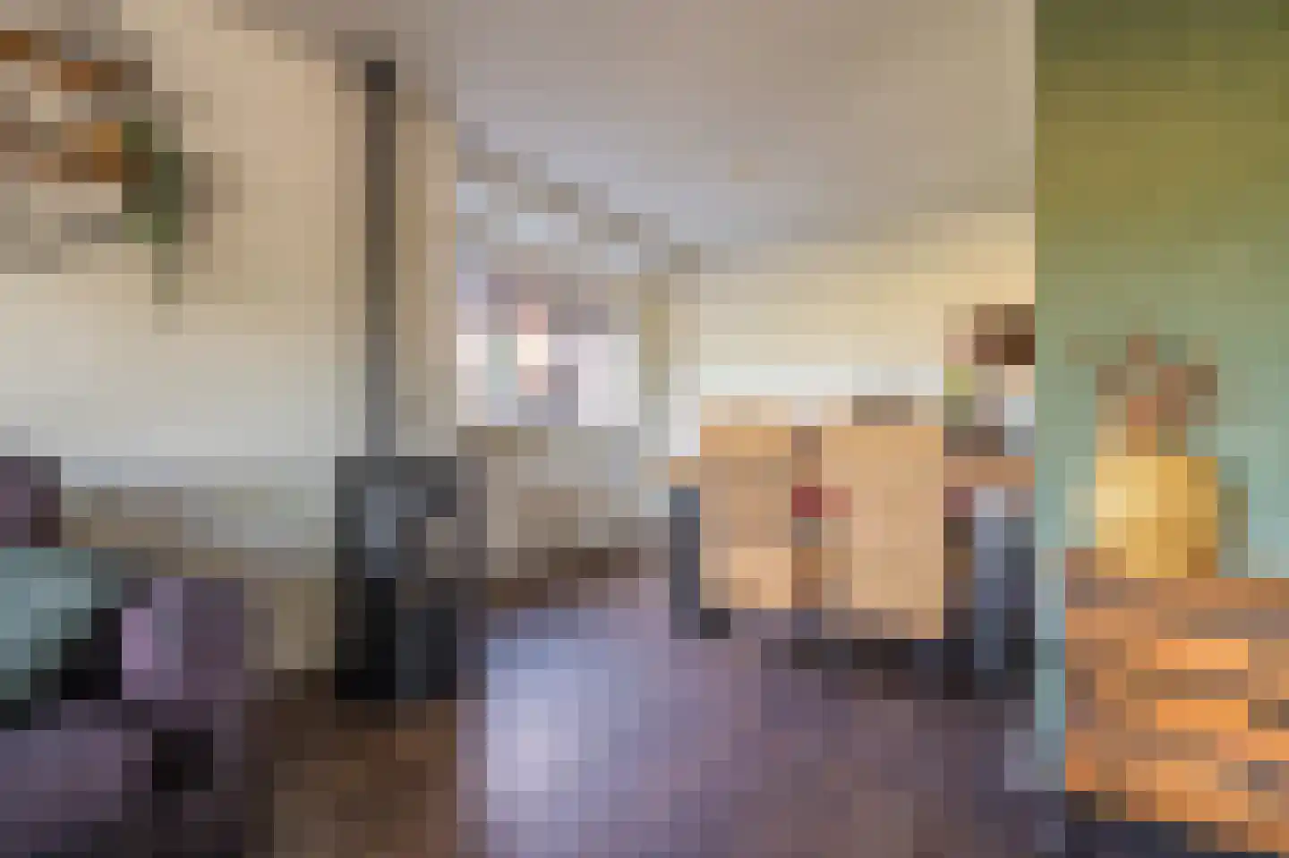 Beumeesweg 22 Alteveer thumbnail 29
