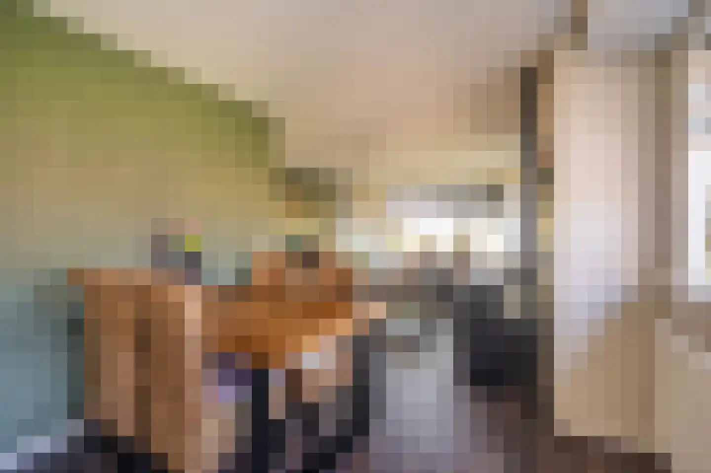 Beumeesweg 22 Alteveer thumbnail 30