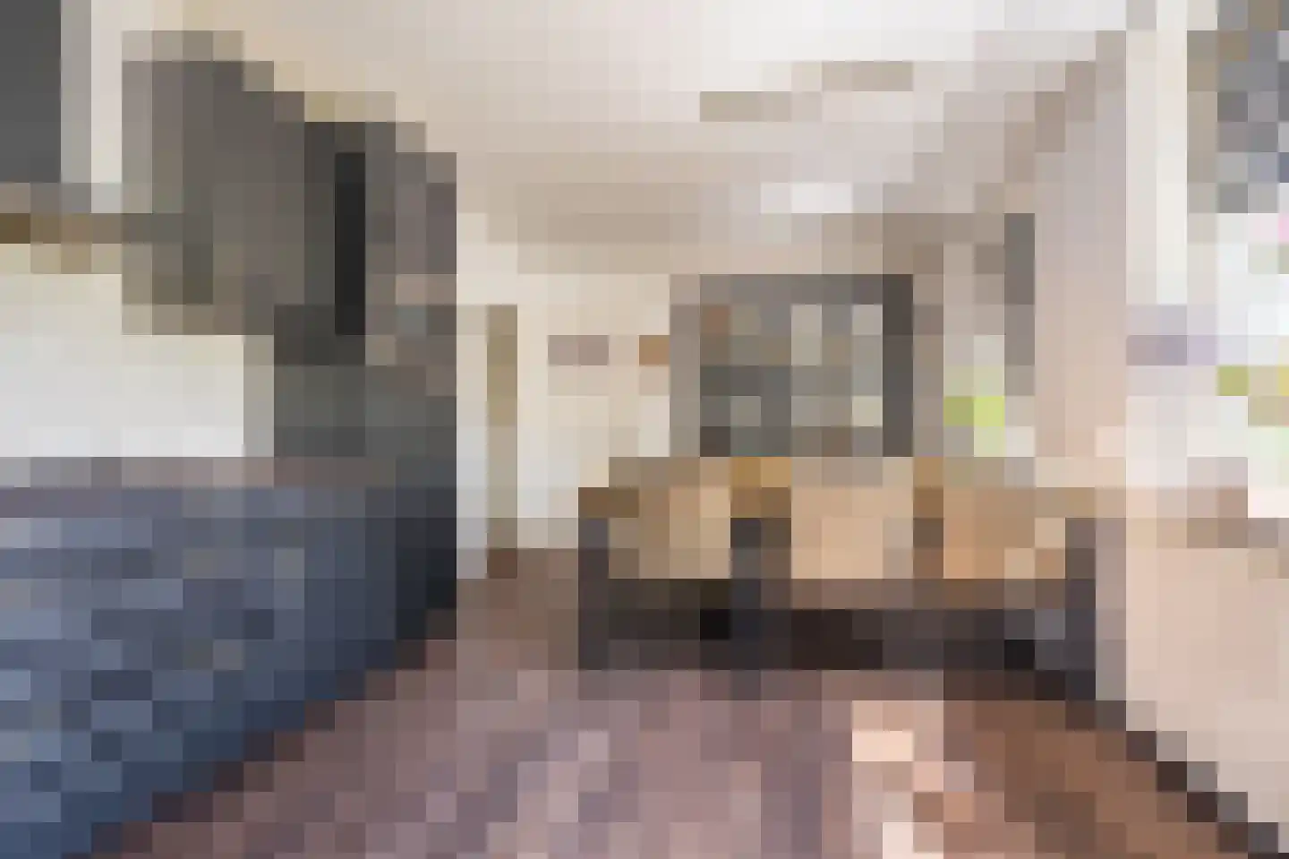 Beumeesweg 22 Alteveer thumbnail 32