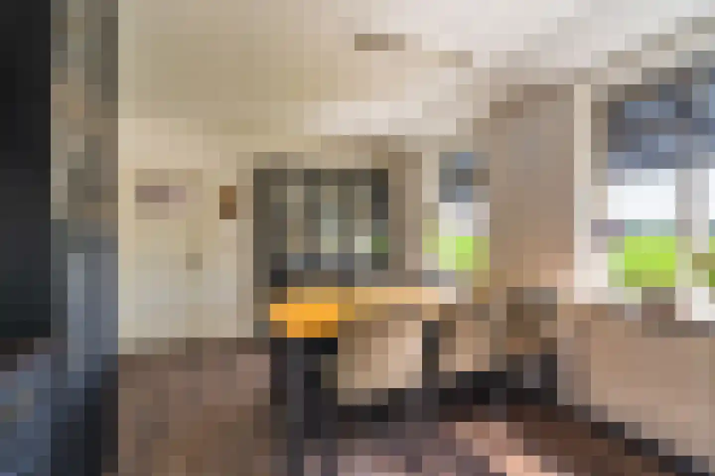 Beumeesweg 22 Alteveer thumbnail 34