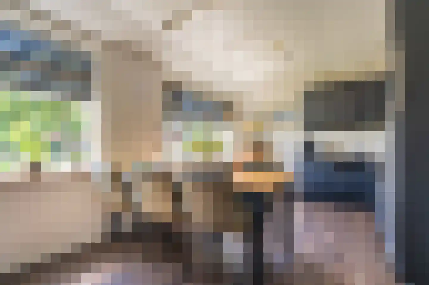 Beumeesweg 22 Alteveer thumbnail 35
