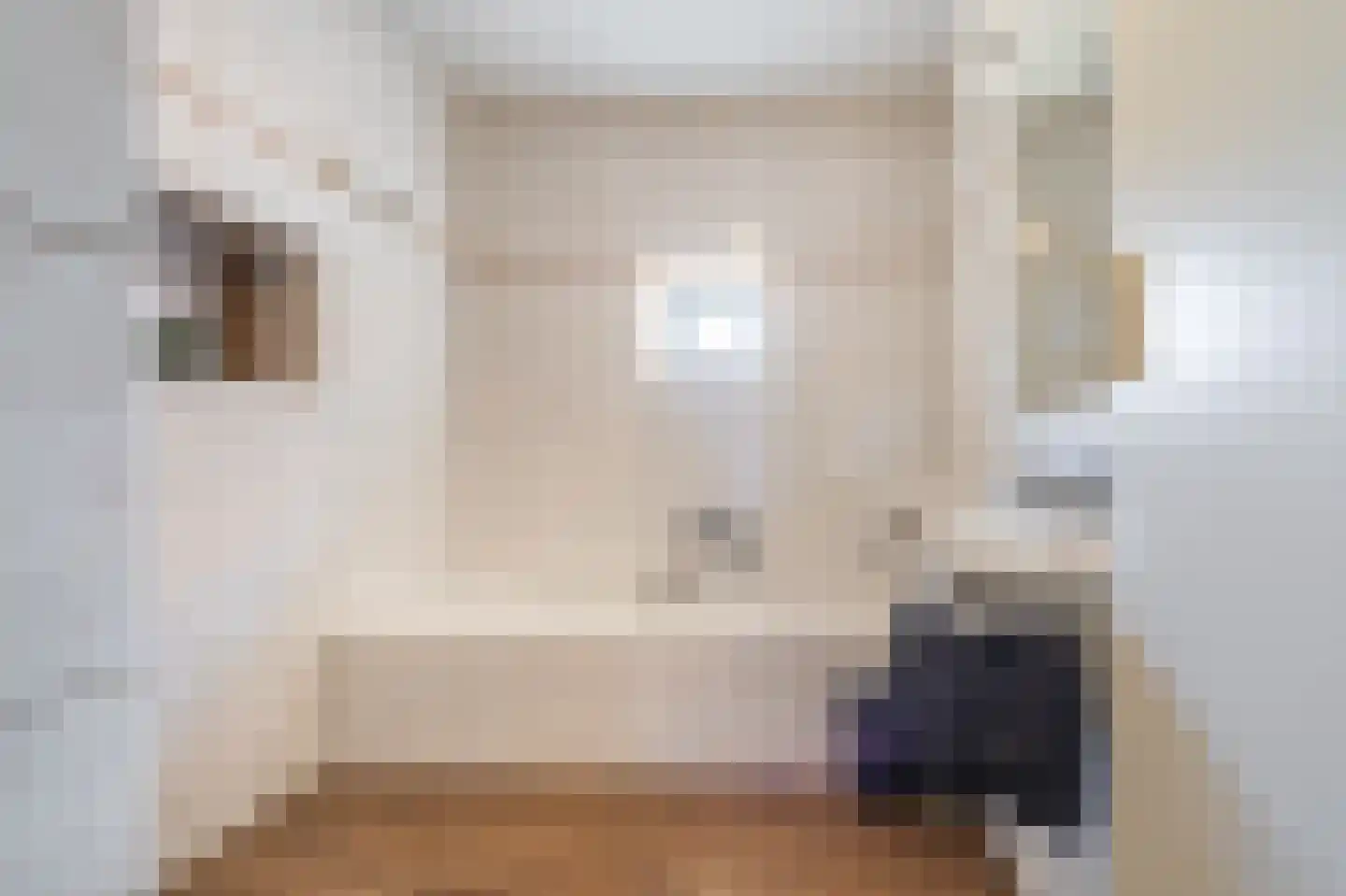 Beumeesweg 22 Alteveer thumbnail 38