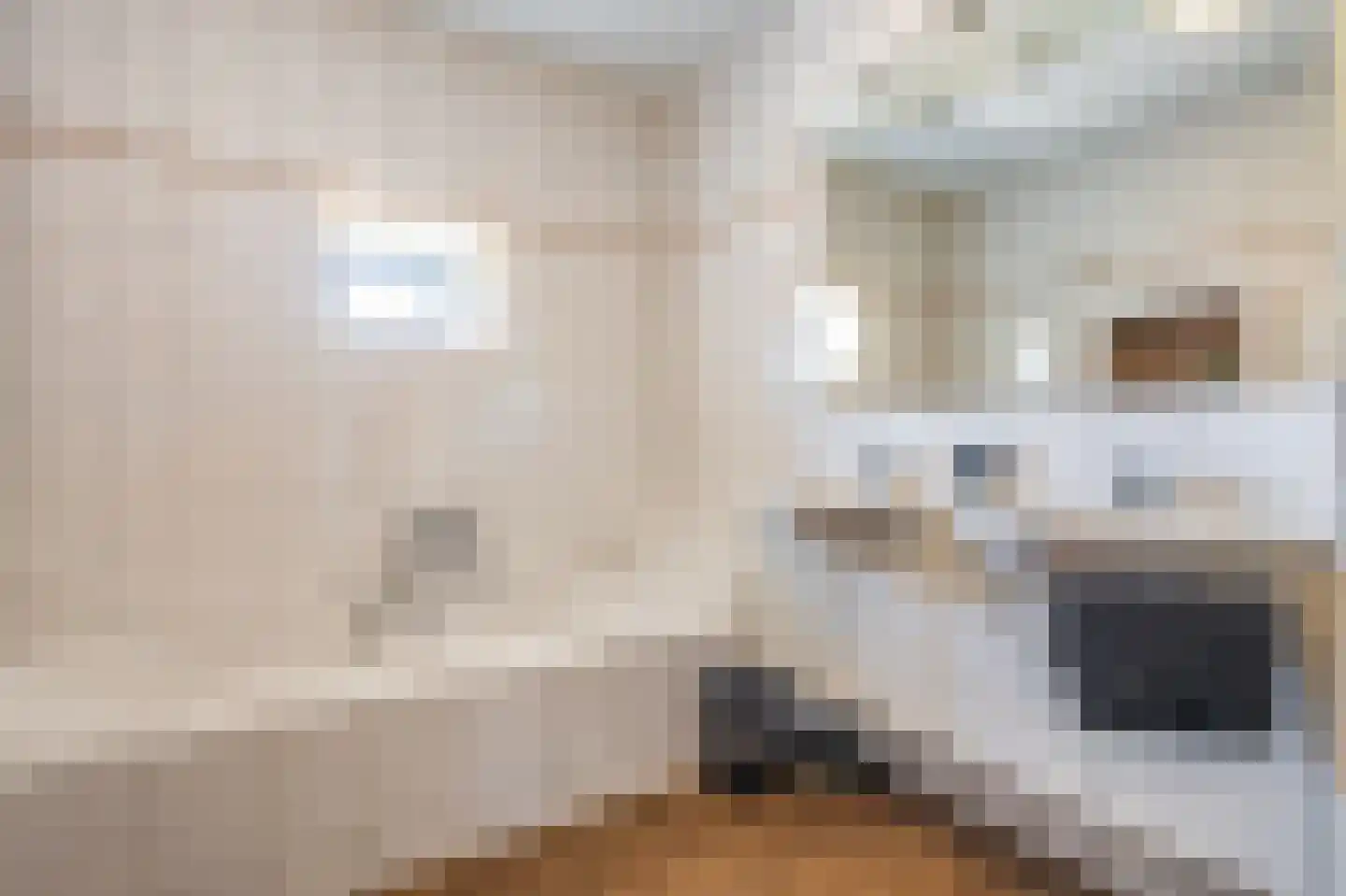 Beumeesweg 22 Alteveer thumbnail 39