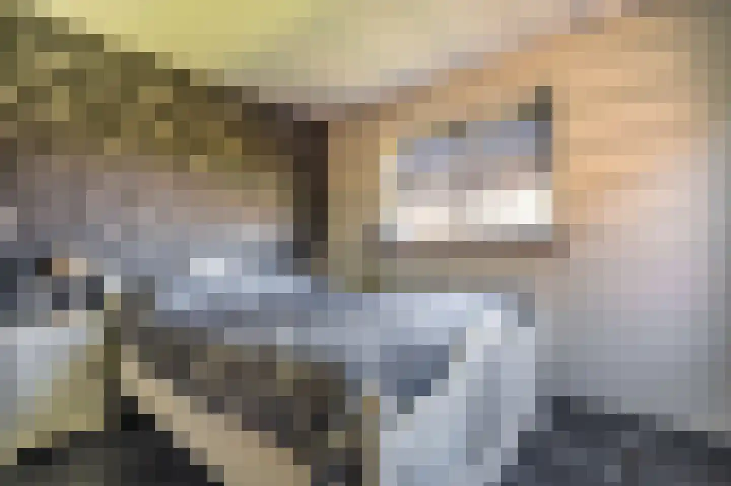 Beumeesweg 22 Alteveer thumbnail 40