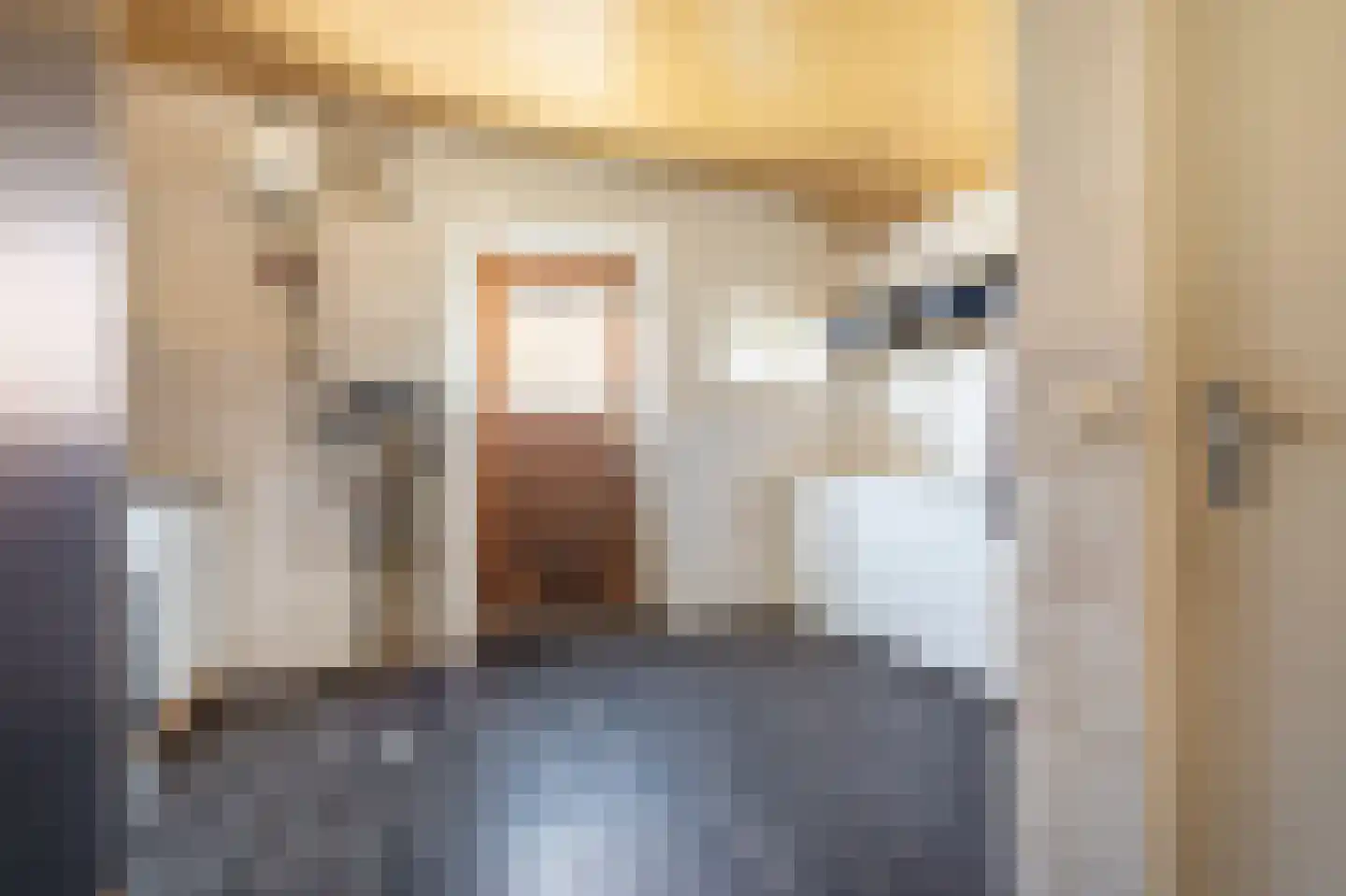 Beumeesweg 22 Alteveer thumbnail 41