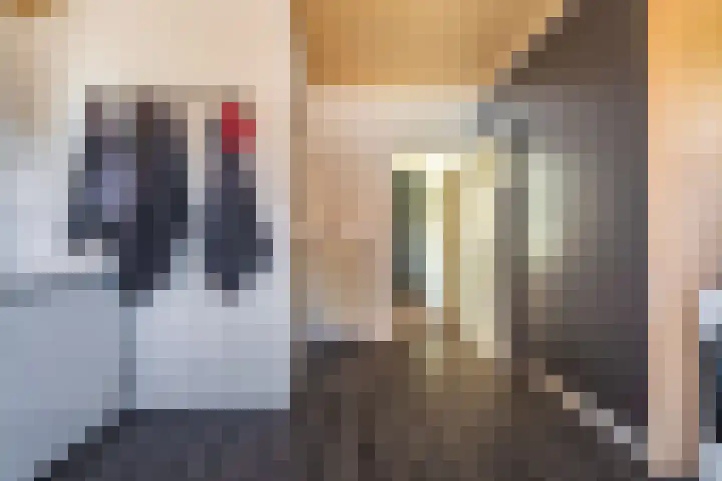 Beumeesweg 22 Alteveer thumbnail 43