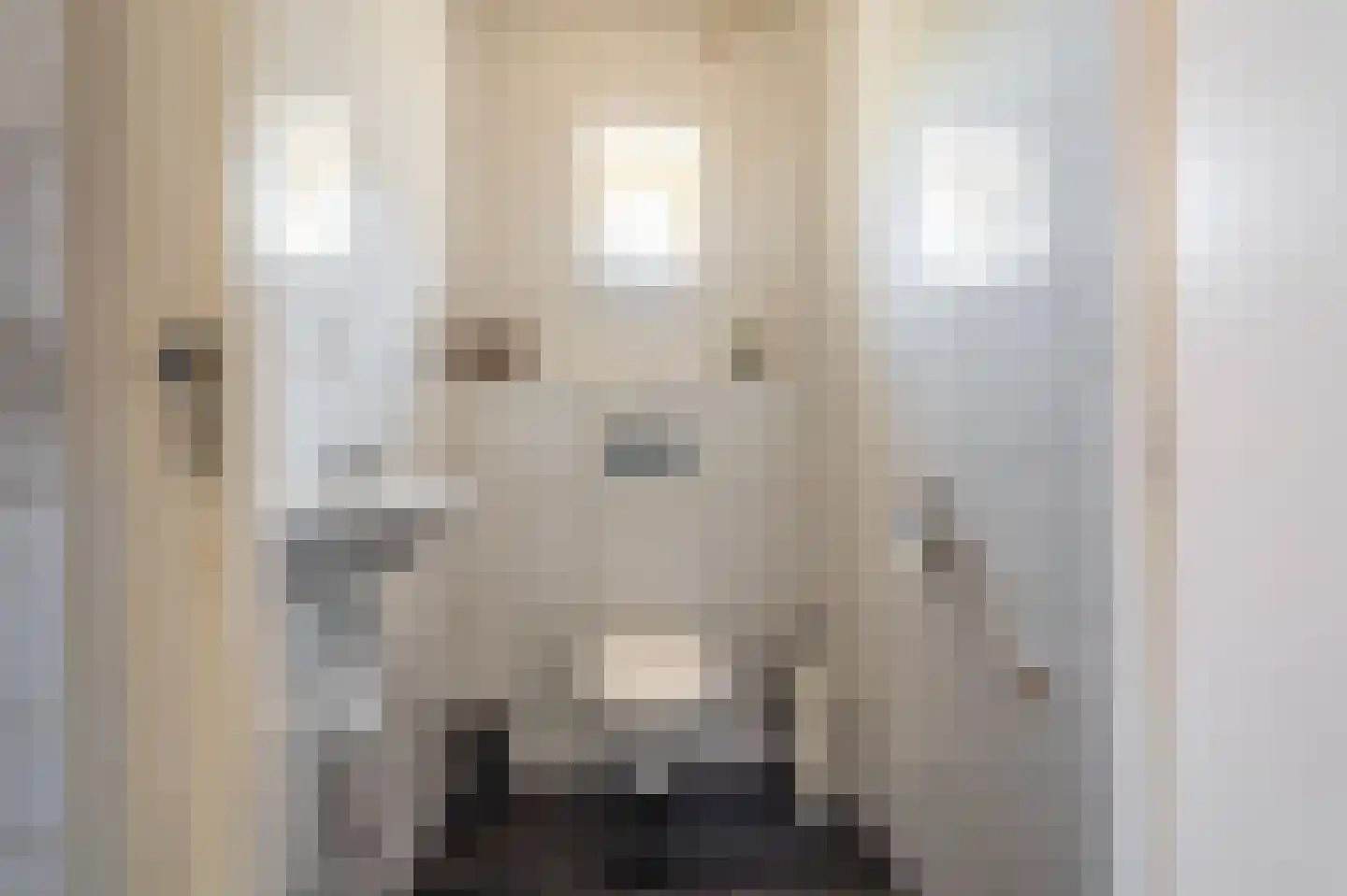 Beumeesweg 22 Alteveer thumbnail 44