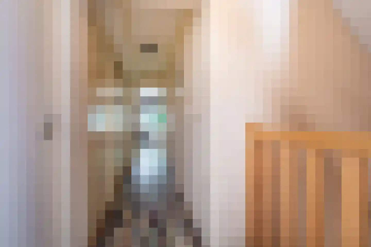 Beumeesweg 22 Alteveer thumbnail 45