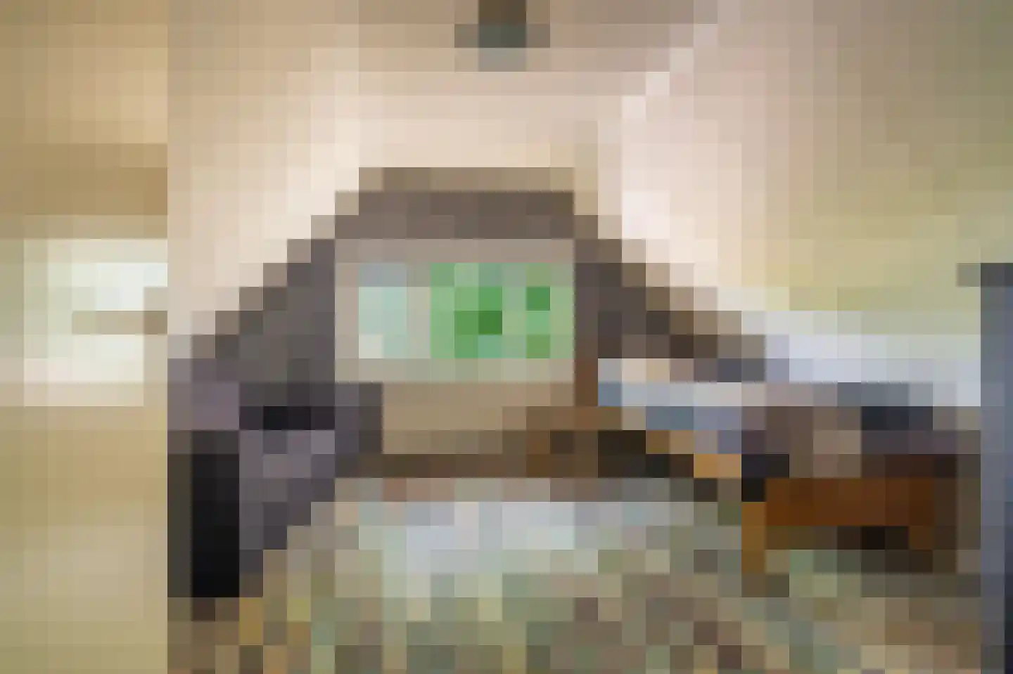 Beumeesweg 22 Alteveer thumbnail 46