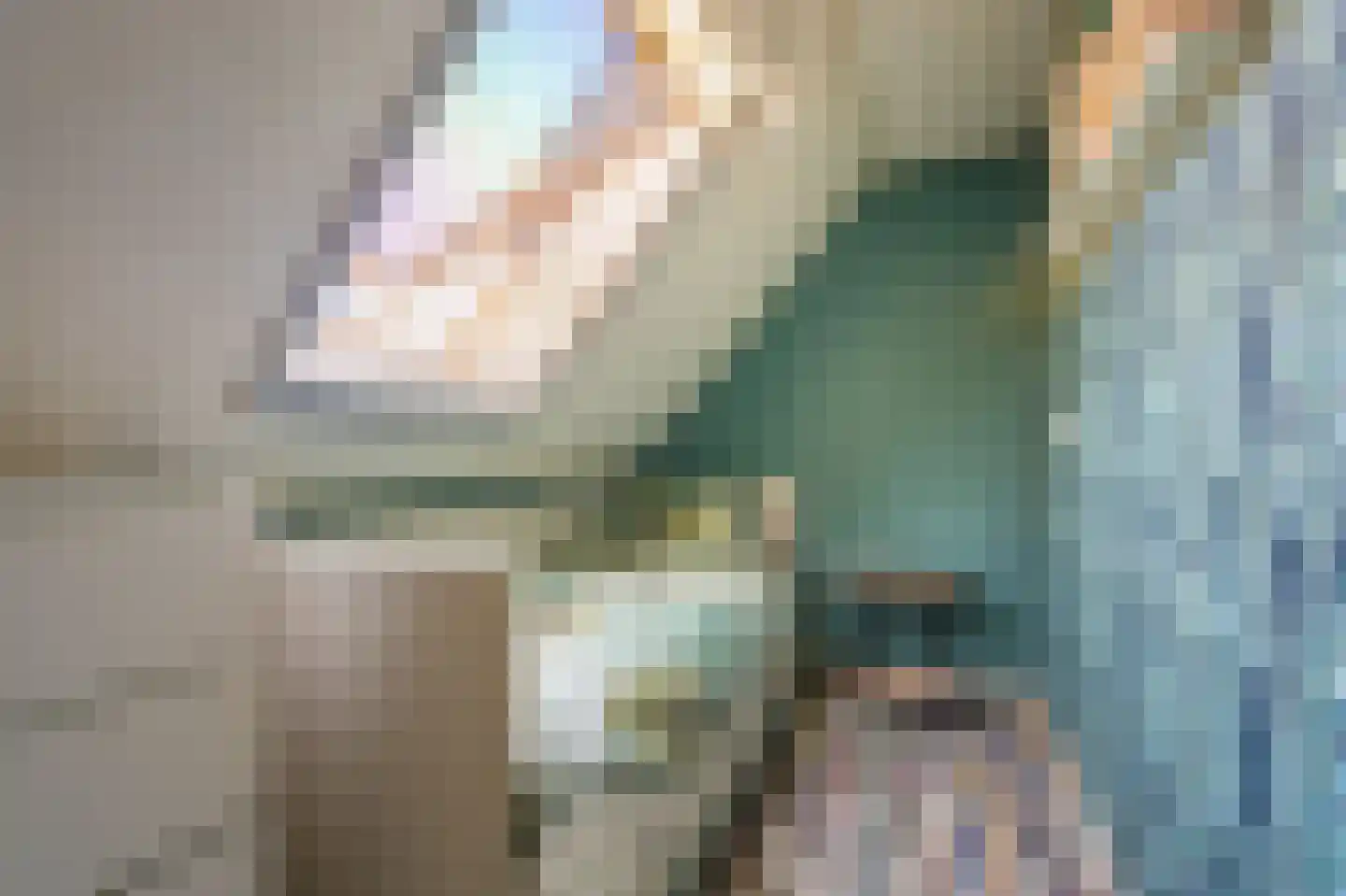 Beumeesweg 22 Alteveer thumbnail 48