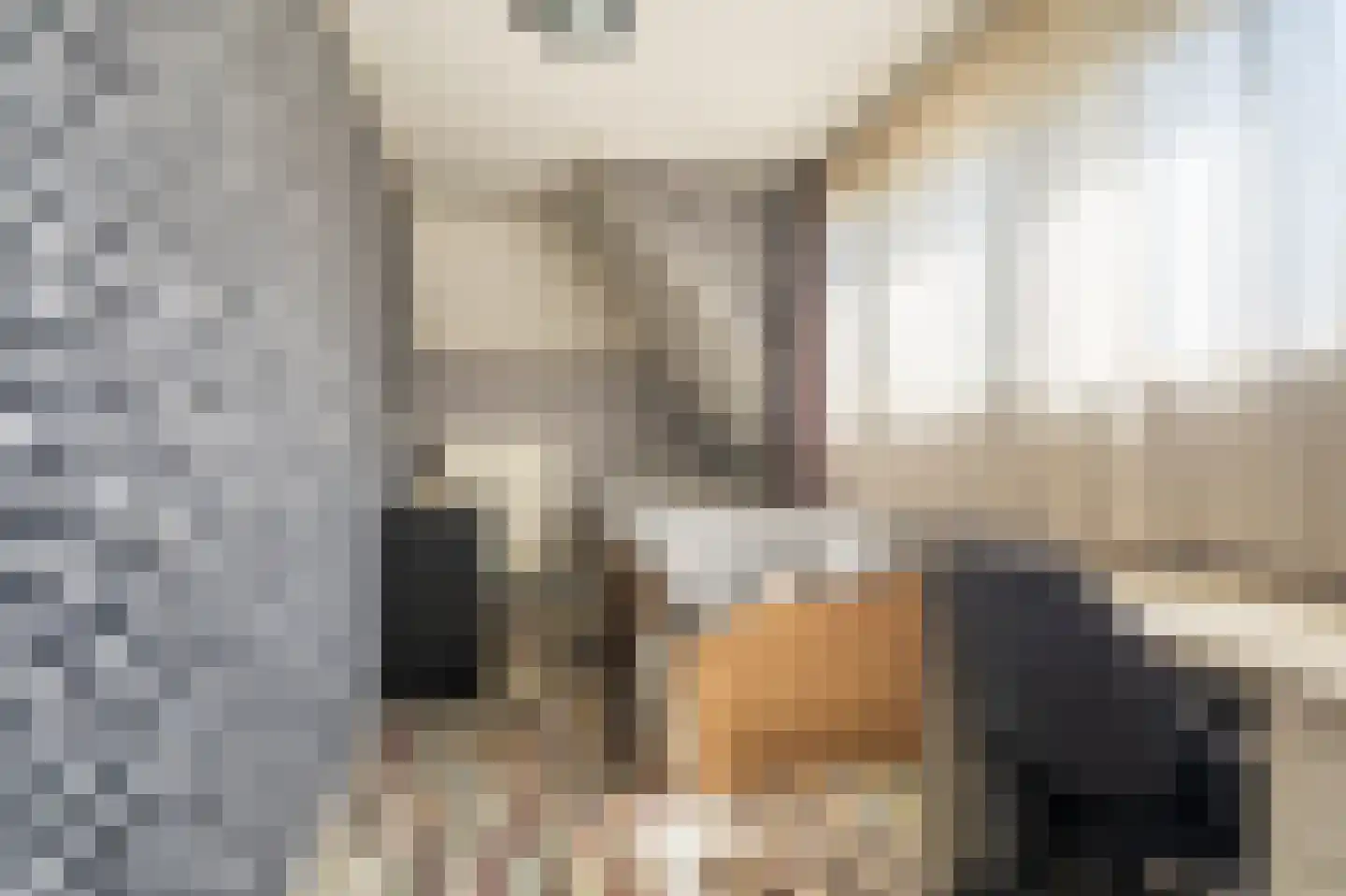Beumeesweg 22 Alteveer thumbnail 49