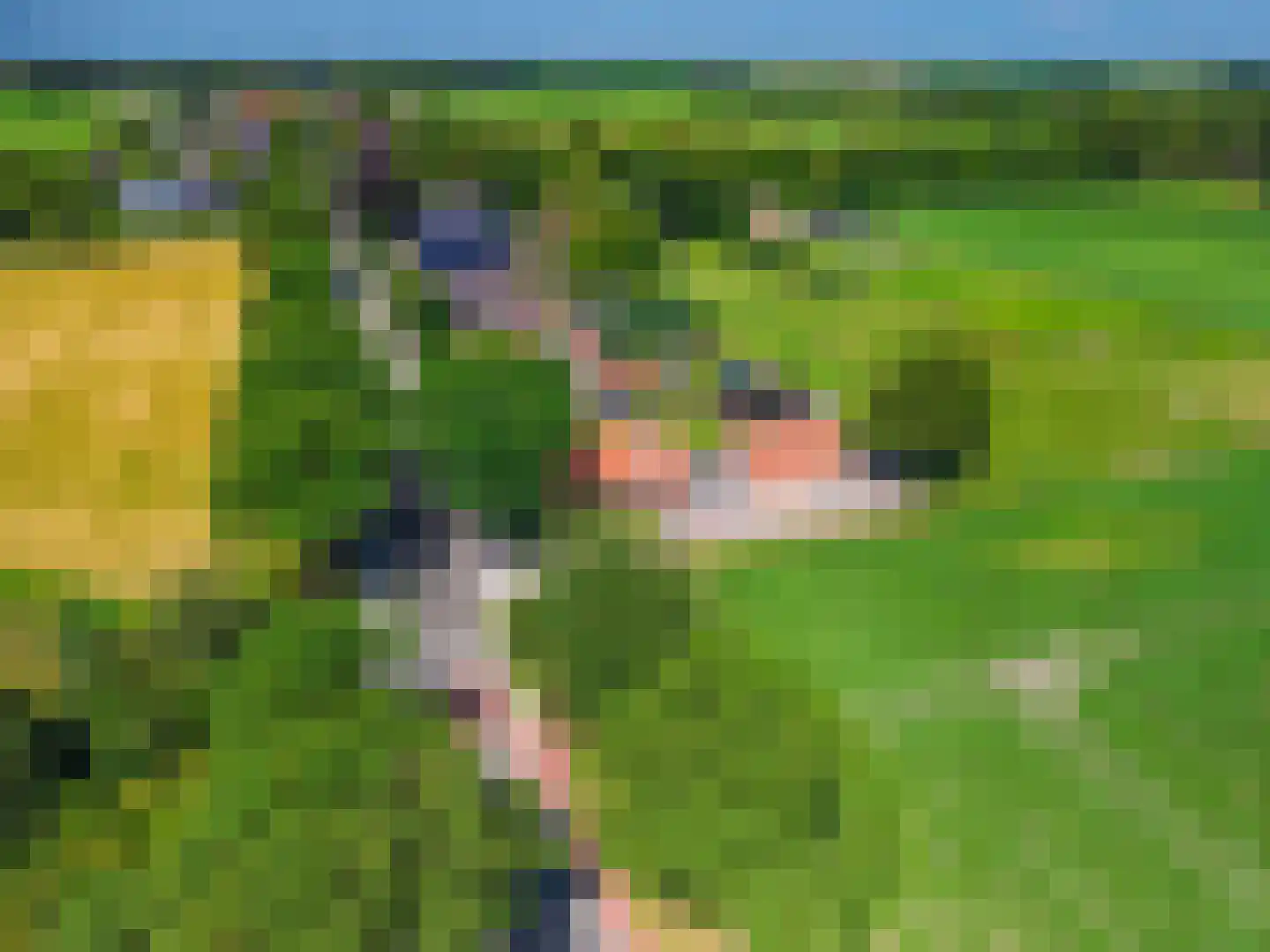 Beumeesweg 22 Alteveer thumbnail 5