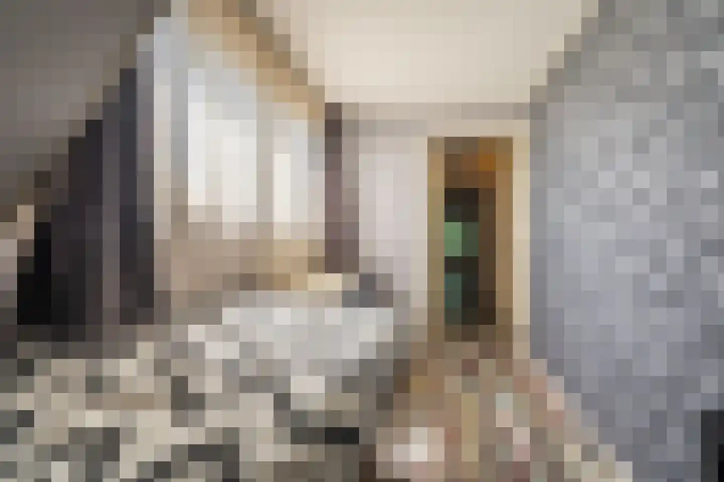 Beumeesweg 22 Alteveer thumbnail 50
