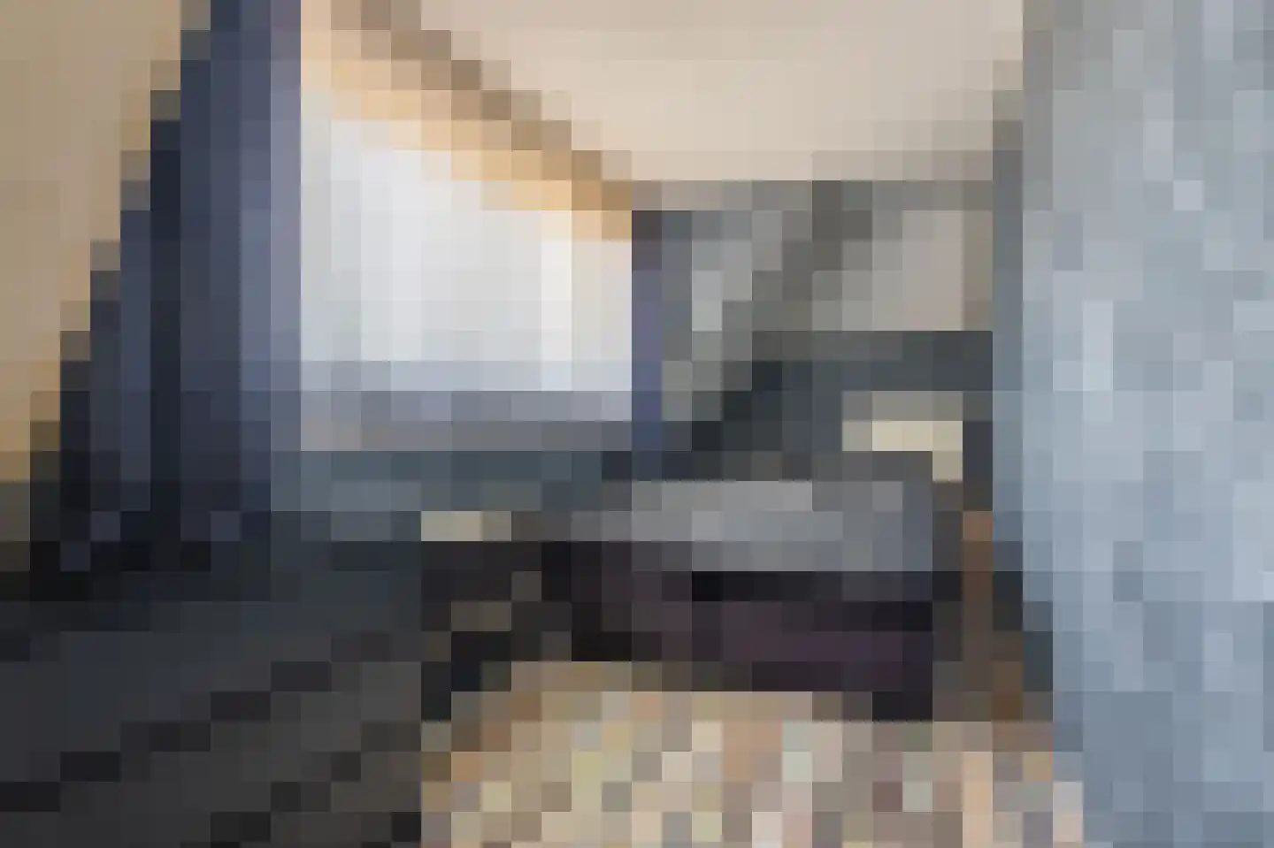 Beumeesweg 22 Alteveer thumbnail 51