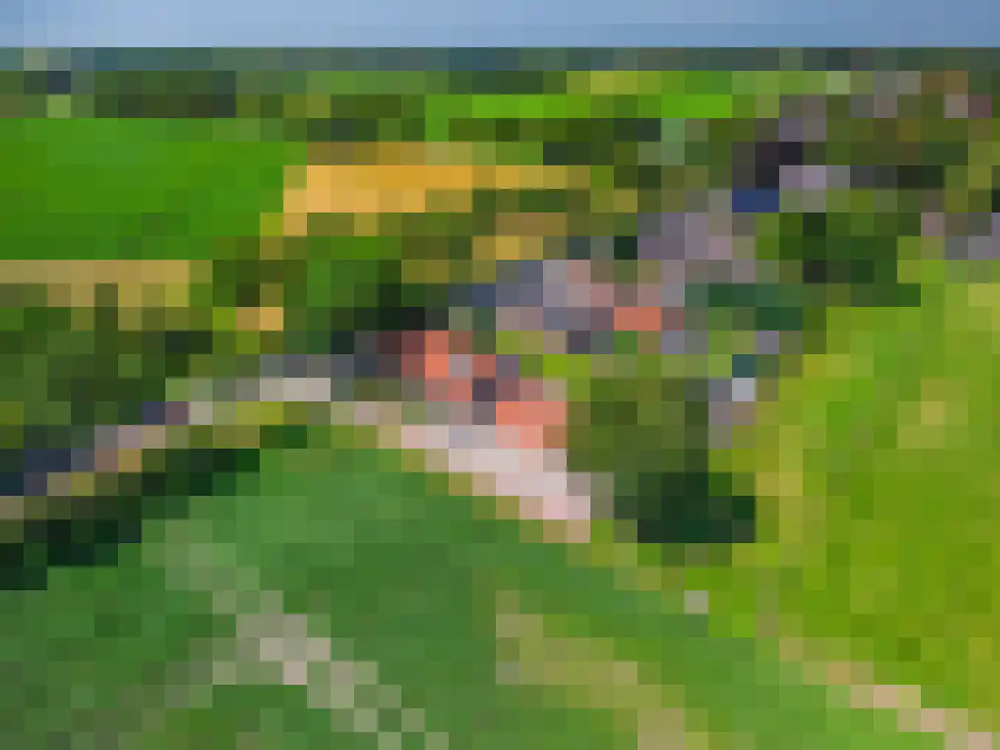 Beumeesweg 22 Alteveer thumbnail 6