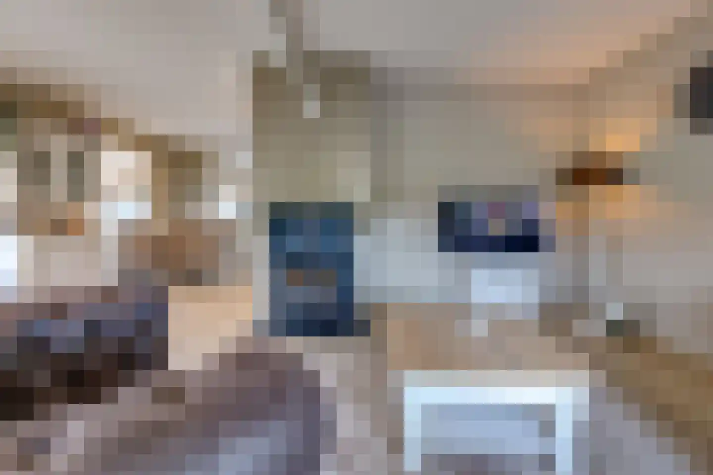 Beumeesweg 65 Alteveer thumbnail 13