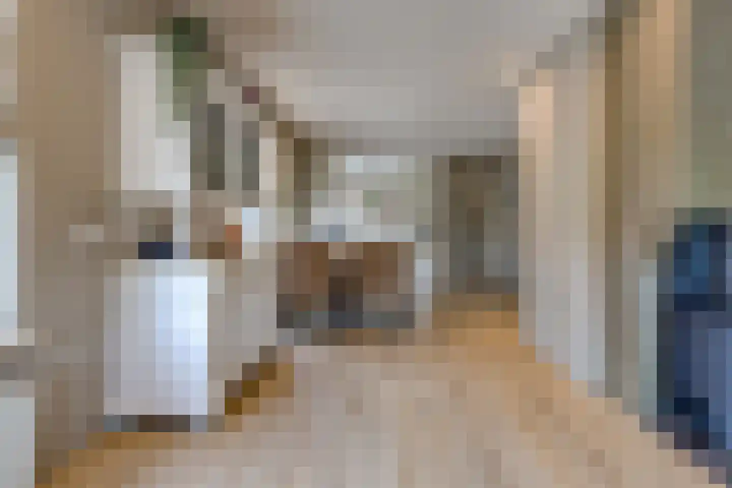 Beumeesweg 65 Alteveer thumbnail 14