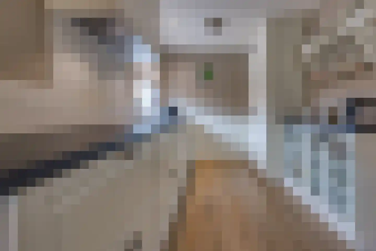 Beumeesweg 65 Alteveer thumbnail 16